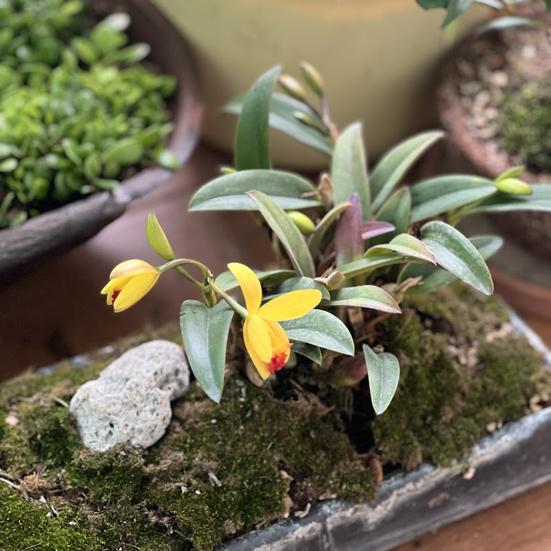 김여사의 베란다(Kim’s garden) Logo