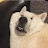 @초록의시간