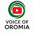 IQqiyNieQ70-channel-avatar-Voice Of Oromia