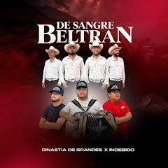 Dinastia De Grandes