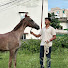 rzJlqma5-pk-channel-avatar-Yash Yadav