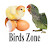 Birds Zone