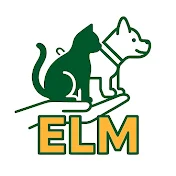 EveryLensMedia