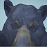 a8i3X7SimDA-channel-avatar-Bashrobe