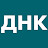 ДНК
