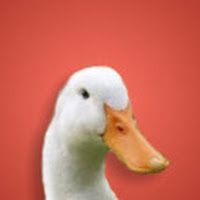 AugustTheDuck profile image