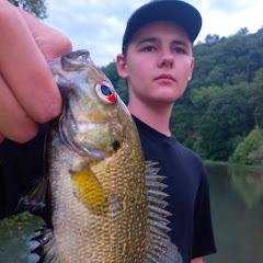 Seth Ward