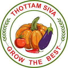 Thottam Siva net worth