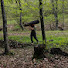 pVSO9T21EcE-channel-avatar-Amir İn the Wild