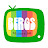 Bergs Television