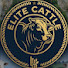 3QaF92KWr3A-channel-avatar-Elite Cattle