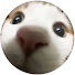 OZi-HjI7_pY-channel-avatar-sophiee⁷