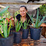 LX2yqe8kg_w-channel-avatar-Vida Verde Sistemas Sustentáveis