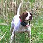 Mark Payton Gundogs - @Payton1221 - Youtube
