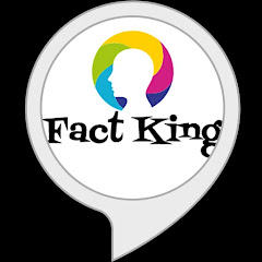 Логотип каналу FACT(KING).