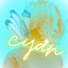 HG6dQl-WpQg-channel-avatar-Cyan 癒しと勇気