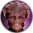 @themonstercrate6840's avatar