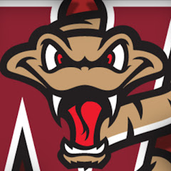 Wisconsin Timber Rattlers