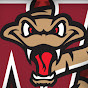 Wisconsin Timber Rattlers logo