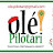 Olé pilotari sports 