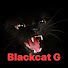 Npi11gz4uGQ-channel-avatar-Blackcat GG