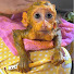 aKQYI-TUkKw-channel-avatar-Mario Monkey