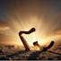 _euaVZIUHq0-channel-avatar-Canto Eterno