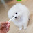 @동동이네-b4e