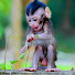ZSBGTyrXw9g-channel-avatar-Real Primate