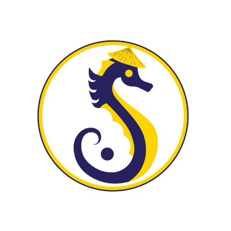 Sea Cloud Leeds Tai Chi, Qigong and Kung Fu
