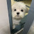 @꿀벌모험