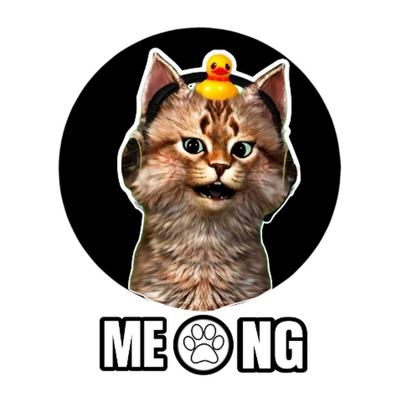 Channel Avatar
