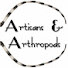 9cvvwzUCllU-channel-avatar-Woodworking with Artisans And Arthropods