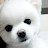 @뽀솜아달려