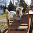 izVzW_WiTyk-channel-avatar-Backyard Paradise