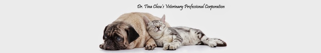 Toronto Mobile Veterinary Services رمز قناة اليوتيوب