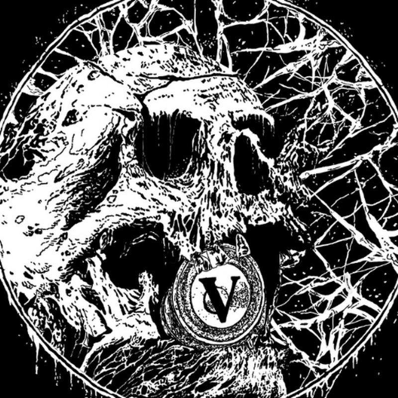 A Vox in the Void Logo