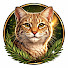 owLDZNULB-8-channel-avatar-The Evergreen Tale