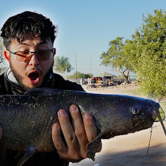 FranciaFishing