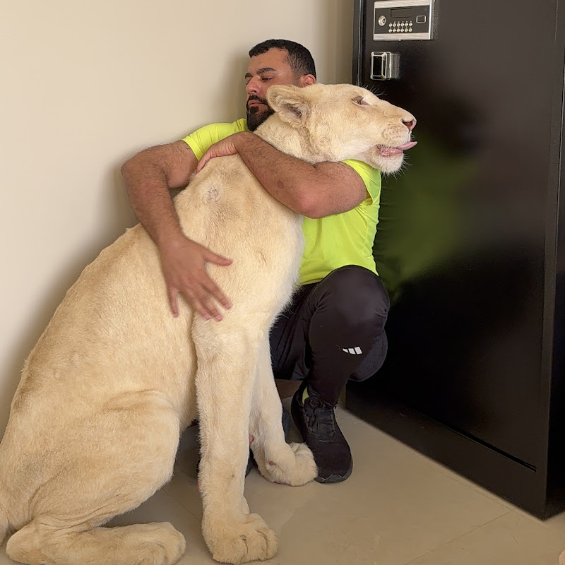 حمودكا ملك الوحوش 