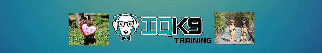 IQ K9 Training Avatar de chaîne YouTube