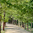 @park6313