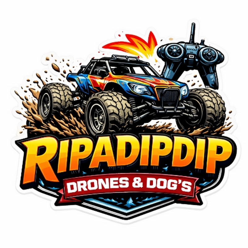 Drones & Dogs