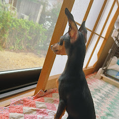 いずピンチャンネル
