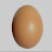 @chicken_egg_koko