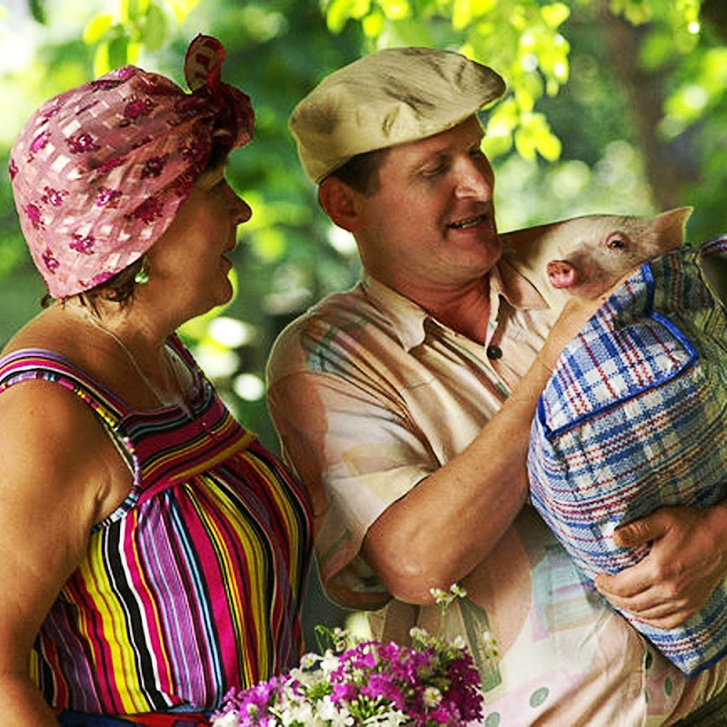 Сваты LIVE Logo