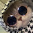 @GhaidaaElmasry