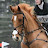 Catherine Kelly Eventing