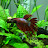 @aquaSplainer Avatar