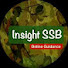 uLvKfEP2p0U-channel-avatar-Insight SSB